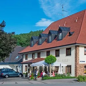 Hotel Zum Roessle, Altenstadt (Swabia)